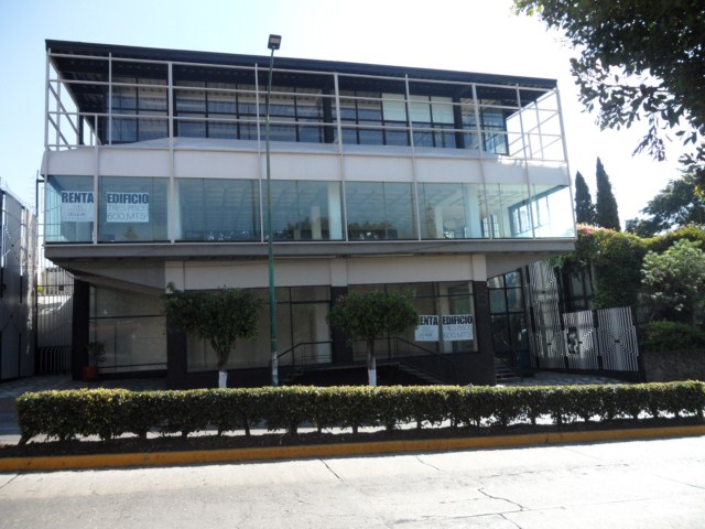 Buena Vista