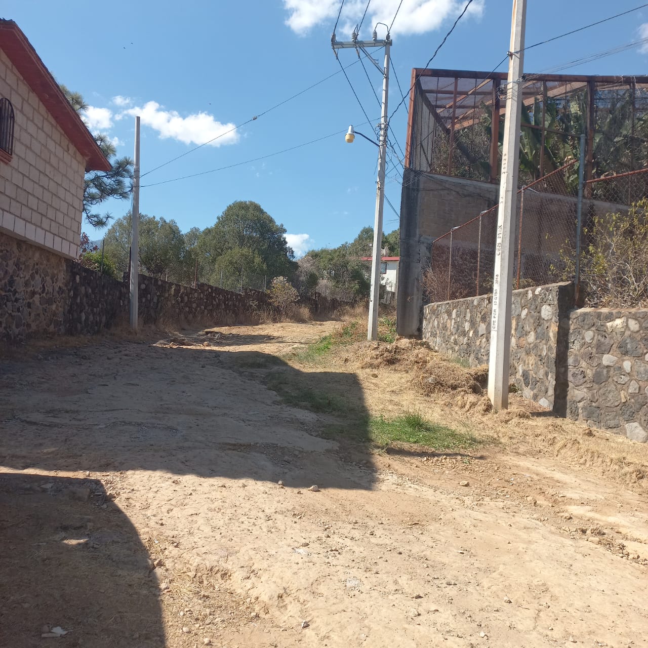 Bosques de Ahuatlan 