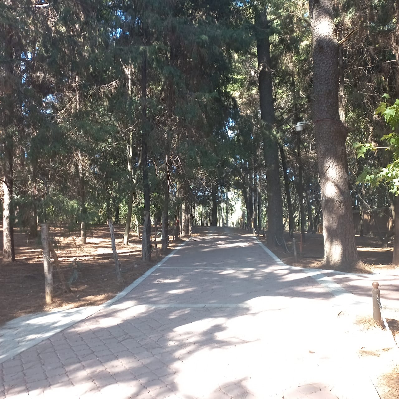 Bosques de Ahuatlan 
