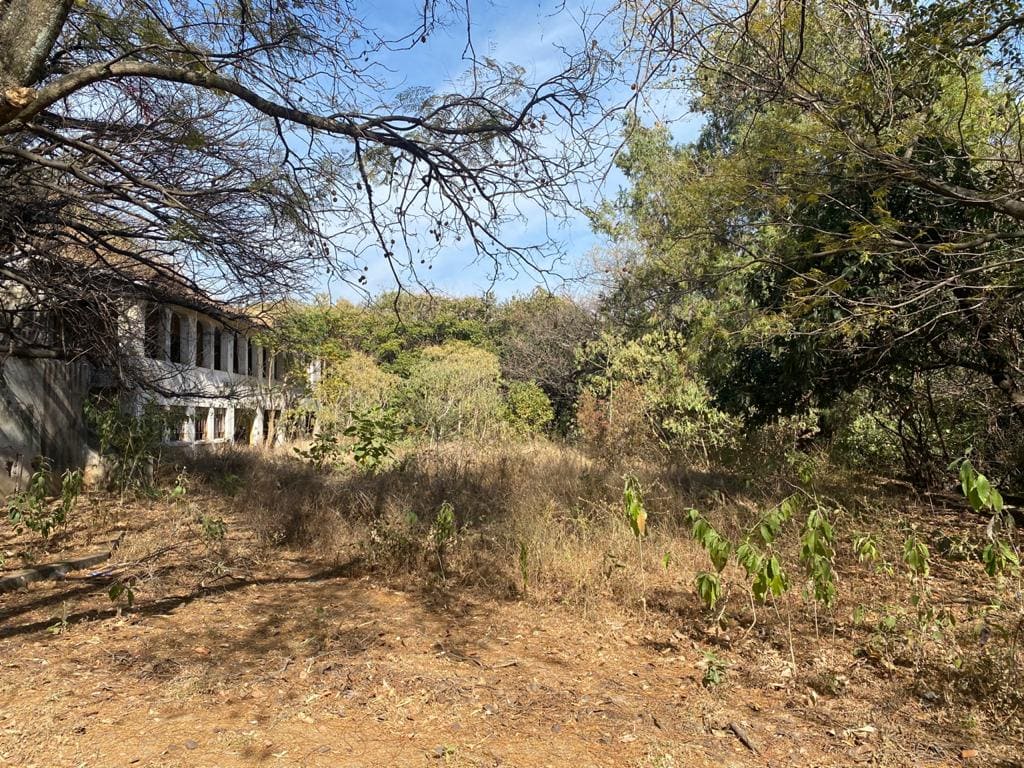 Bellavista