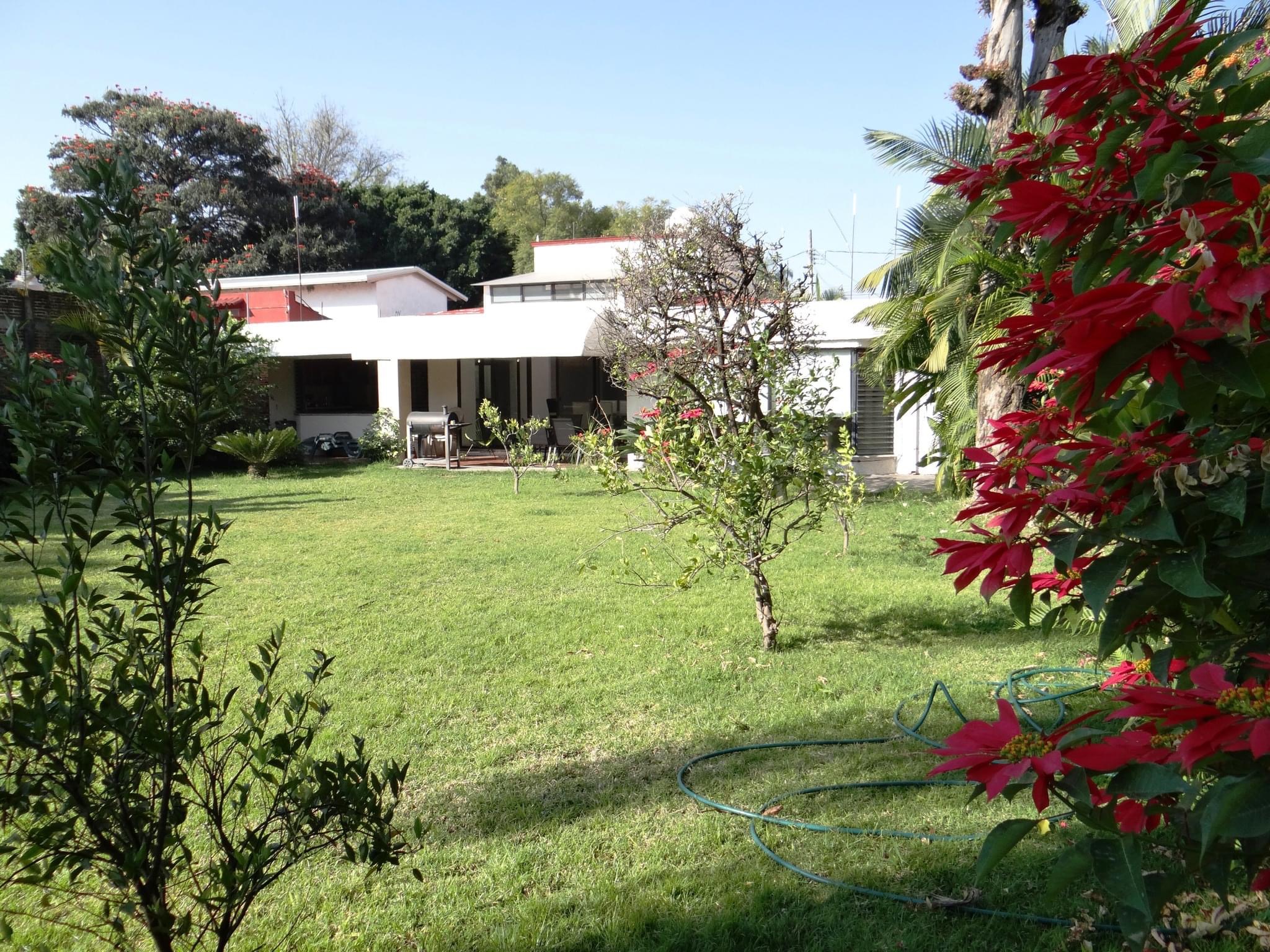Delicias