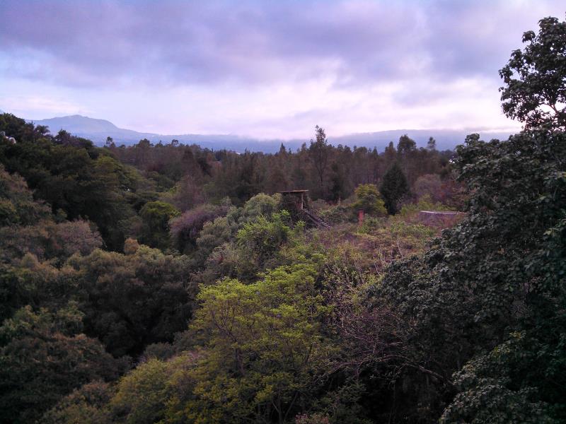 Bellavista