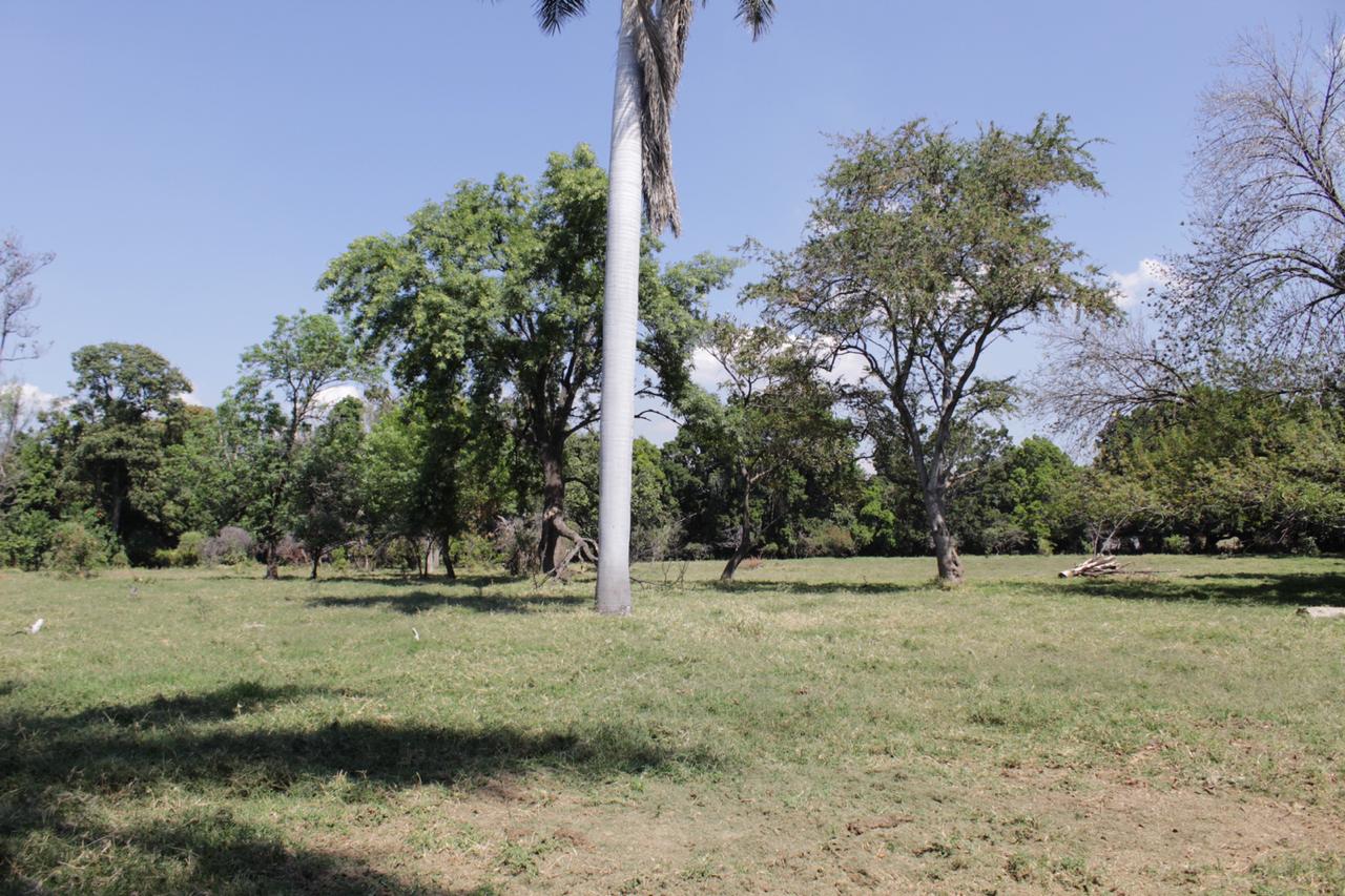 Centro Emiliano Zapata 